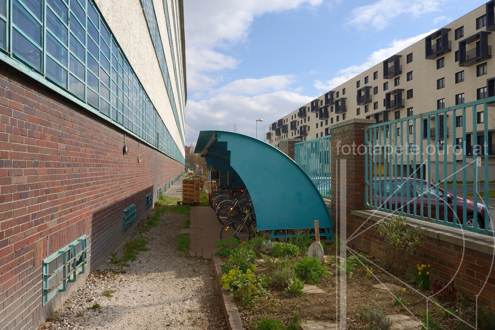 DSC 3525