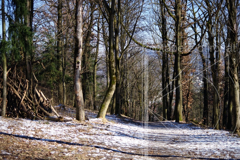 IMGP3441.JPG