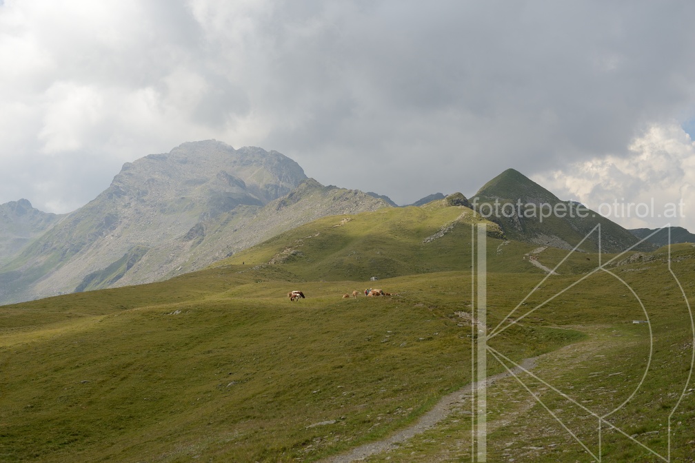 MSK 0807 (33434 visits) MSK 0807