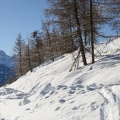 MSK_1346.jpg