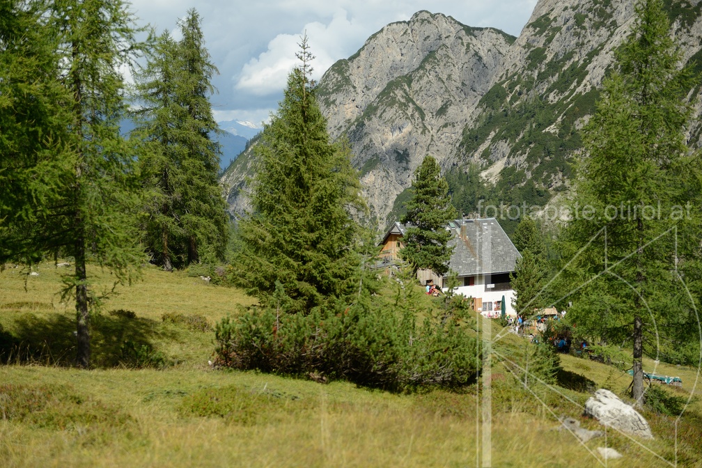 MSK 7199