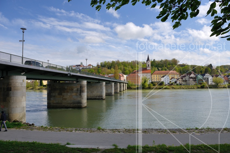 MSL_2684.jpg