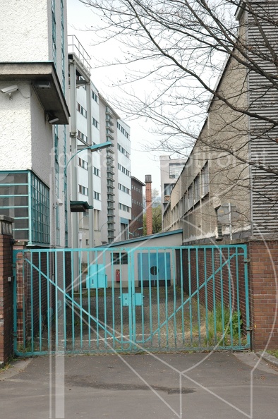 DSC_2513.jpg