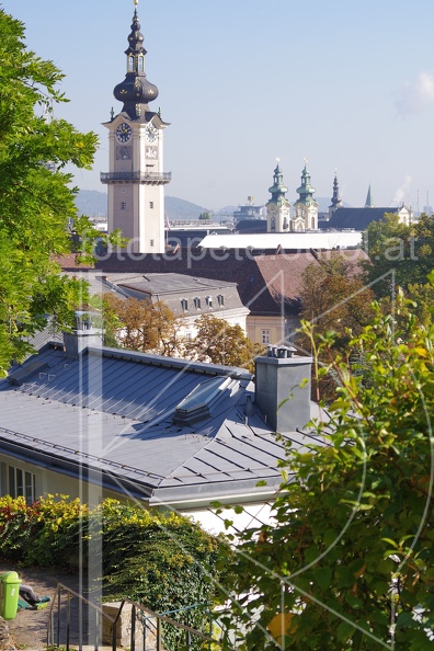 IMGP2942