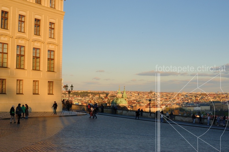 MSN_8368.jpg