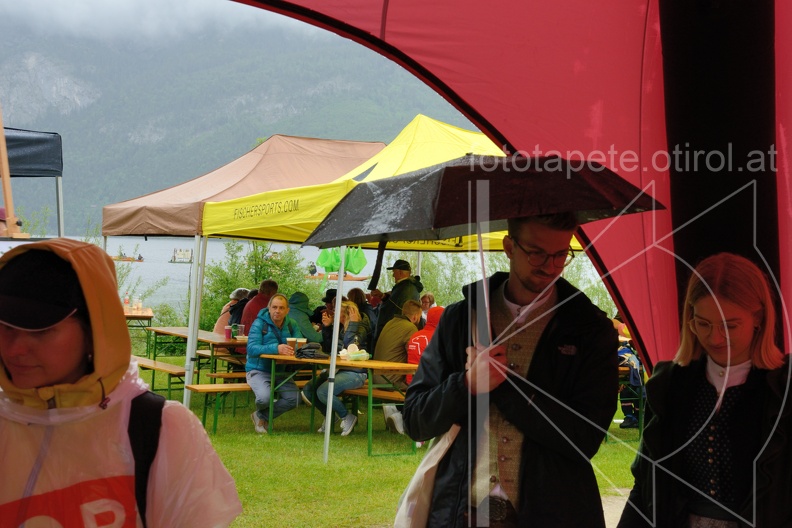 MSN_8763.jpg