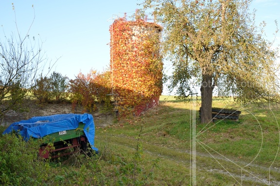 MSN 7122