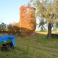 MSN 7122