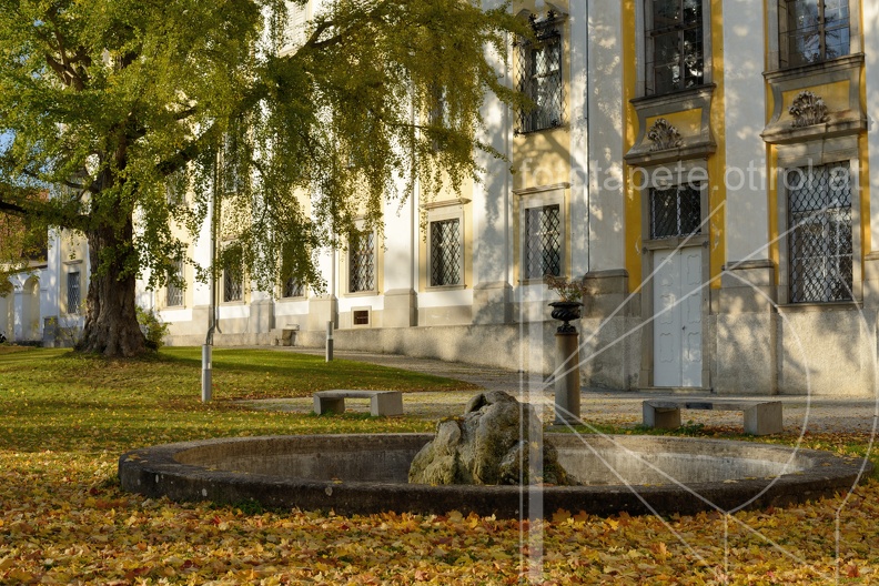 MSN_7136.jpg