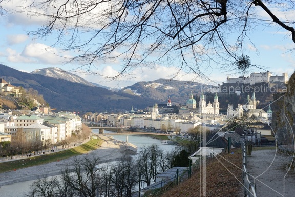 MSN 7911 (18414 visits, rating score 4.52) MSN 7911