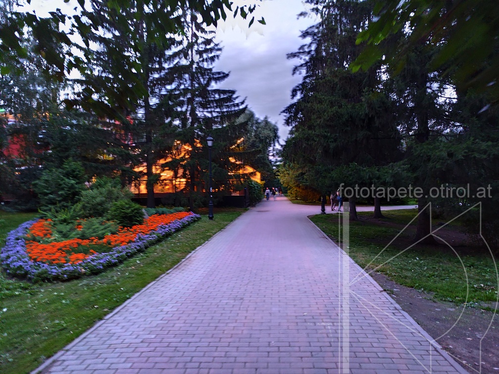 IMG 20240730 213252